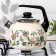 Kettle with a whistle "Meadow flowers" 3 l, fixed handle, induction