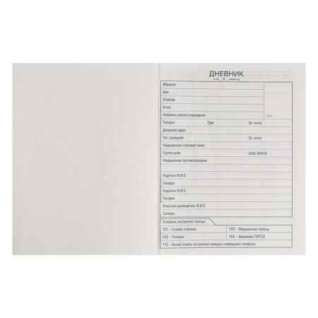 Universal diary for grade 1-11, Level Up, solid cover, metallic, selective varnish, 40 sheets-3