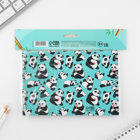 Set: Double notebook with tasks and Panda handle and Panda-13