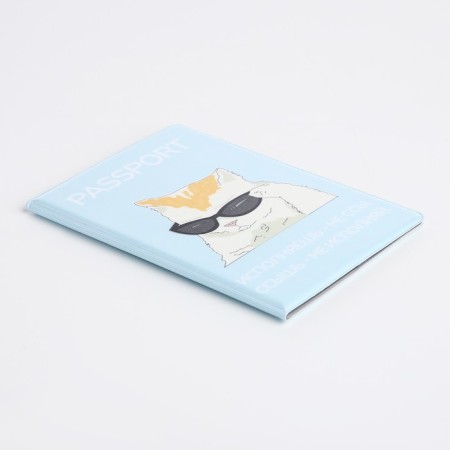 Cover for passport, blue color-3