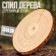 Wooden decor "Sawdal of a tree" Size: from 13 to14 cm