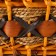 A set of baskets, 3 pcs, 46x35/41 cm, 39 x28/34.5 cm, 32x21/28 cm, willow