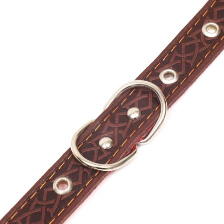 Collar leather reinforced with a kapron with a half-ring, 55 x 2.5 cm, Osh 27-53 cm, brown-3