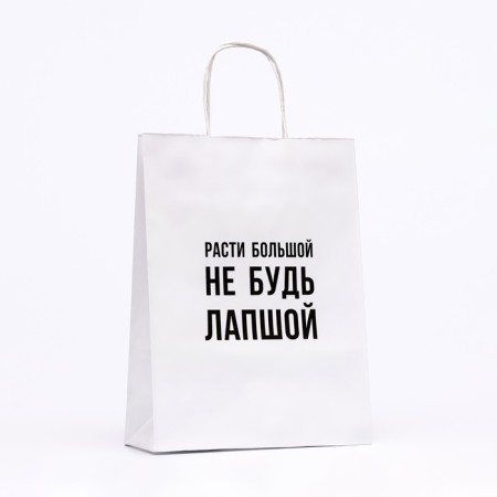 Crafts with jokes "Do not be noodles" 24 x 10.5 x 32 cm