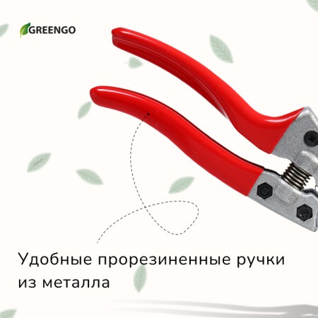 Planning coater, 8 "(20 cm), rubberized handles, Greengo-6