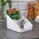 Organizer for spices