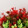 Bonsai in the pot "Flower meadow" 9x19 cm, mix