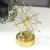 Plastic Plastic "Ferris wheel" gold 23.5x18.5x11 cm