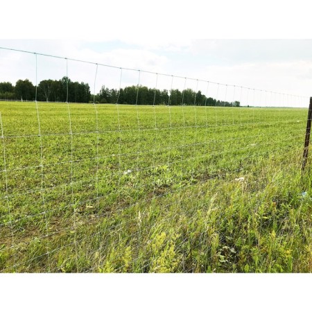 Glorious grid, with a hinge node, 1.8 × 30 m, “Forest barrier”-3
