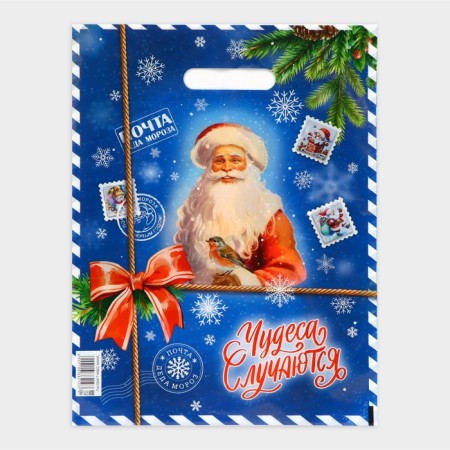 New Year. Package "Mail from Santa Claus", plastic with a cut pen, 30 x 40 cm.-1