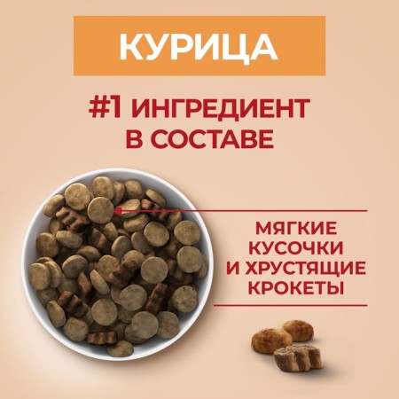 Сухой корм Purinа One medium/maxi для взрослых собак, курица/рис, 10 кг-9