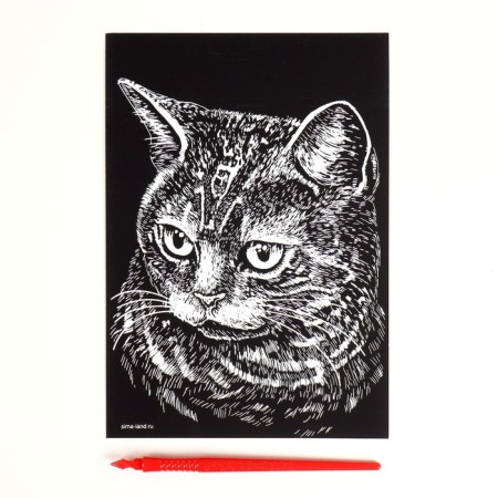 Engraving "British cat" with a metallic effect of silver A5-2