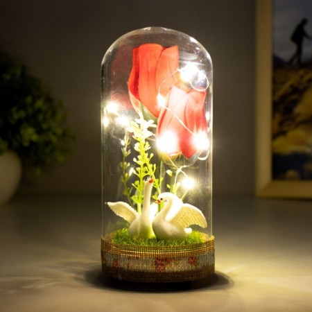 Night -night flask "Two Swan" LED from batteries LR44 8x8x19 cm Risalux-2