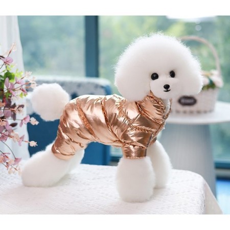 Kombinson "Shine", size XL (DS 39 cm, OG 53, Osh 35 cm, weight 14 kg), golden
