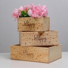 A set of pots of wooden boxes, 30 × 25 × 20 cm 