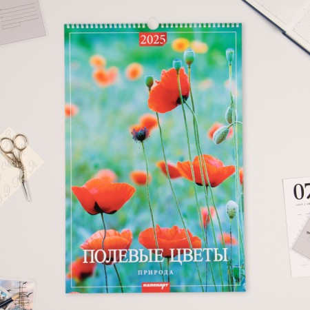 The calendar of the Overdo at the Rigel "Field Flowers" 2025, A3