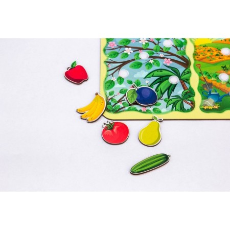 Sorter "What is the difference?" Fruits-vegetables ", on Velcro-3