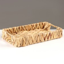 Tray 