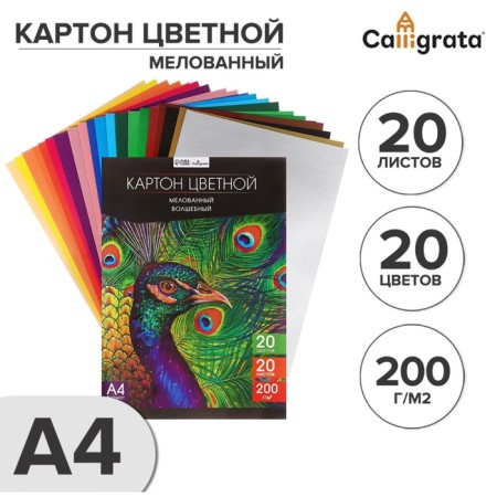 Cardboard of color A4, 20 sheets, 20 colors, magical (gold+silver) Calligrata top, coated 200 g/m2, in the folder in the folder