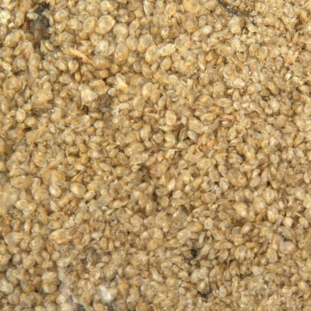 Daphnia fish food, package, 100g-1