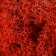 Moss stabilized "red" 45 g (+-5 gr).
