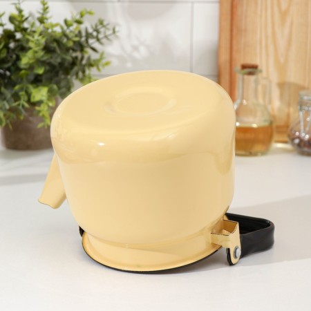 Kettle, 2.3 liters, induction, stealing color-3