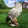 Garden figure "Owl Polar" 17x11x8cm