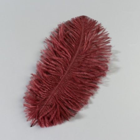 Feather of ostrich 15-20 cm, brown-1