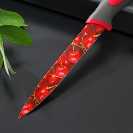 Kitchen knife with an anti -wagoning coating of the valve "Cherry", blade 12 cm-1