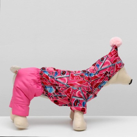Zimovye jumpsuit for animals "Tandem", XL (DS 32-34, Osh 32, OG 40-44 cm), mix-1