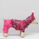 Zimovye jumpsuit for animals "Tandem", XL (DS 32-34, Osh 32, OG 40-44 cm), mix