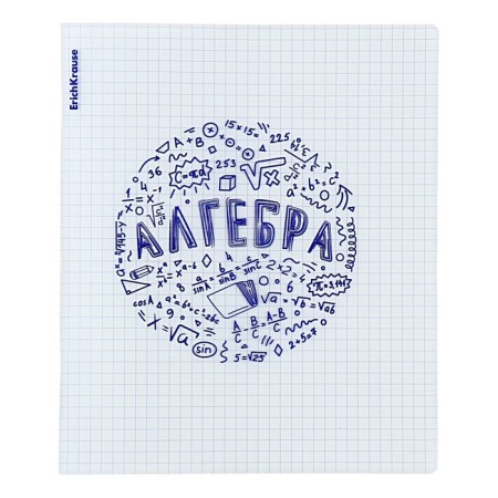 Subject notebook, 48 sheets, cage, algebra Erichkrause "Chaos", plastic cover silk-screen cover, OFSET BELICT 100%, information block