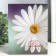Photo album for 100 photos "Flower collection10" 10x15 cm mix