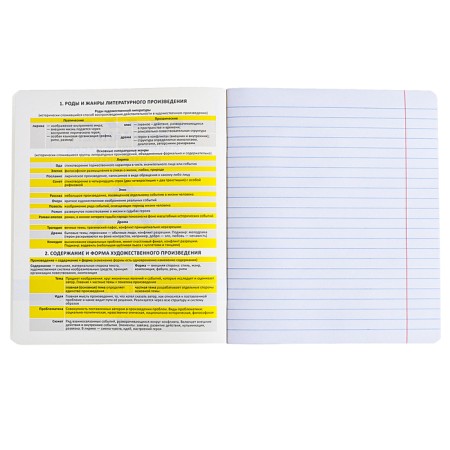Subject notebook, 48 sheets, ruler, literature, Erichkrause "BENFORMED", plastic cover silk-screen cover, Bloc OFSET BELICE 100%, information block-3