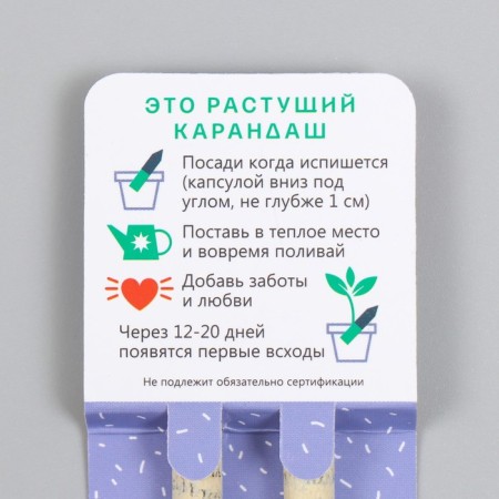 Growing gift pencils Mini "lavender and lilac" set 2 pcs.-2