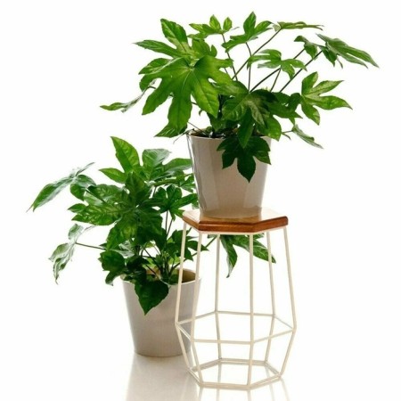 66-411 Standing for flowers 66-411 with wood 29x29x43 cm-1