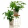 66-411 Standing for flowers 66-411 with wood 29x29x43 cm