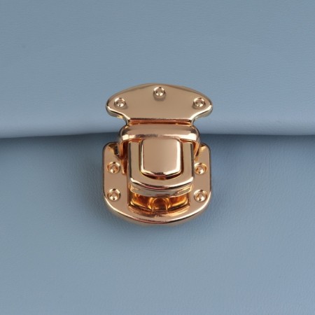Bag Fraille, 2.2 × 2.7 cm, gold color-4