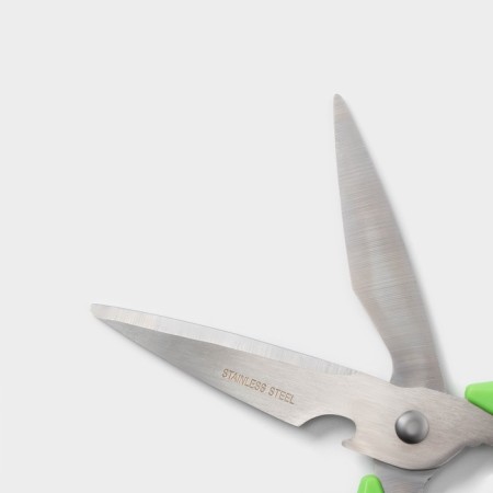 Scissors kitchen shares "Gary", 22 cm, green color-2
