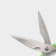 Scissors kitchen shares "Gary", 22 cm, green color