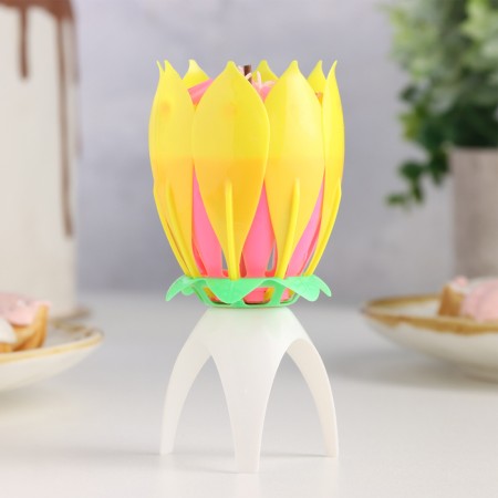 Candle for Cake Musical "Tulip", yellow, 12 × 5 cm-4