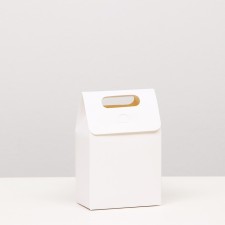 Box-pack with handle, white, 15 x 10 x 6 cm