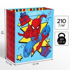 Gift package 