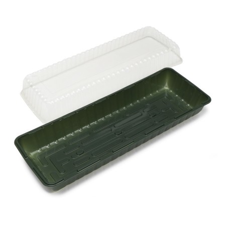 Mini-Pirate for seedlings, 58 × 21 × 12 cm, without inserts, dark green, Greengo-2