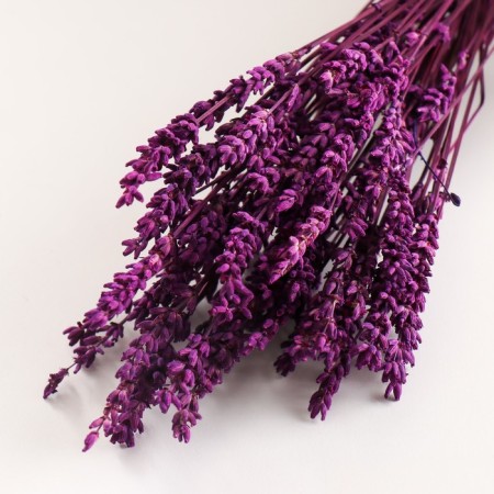 Set of dried flowers "lavender" banch length 30 (+/- 6 cm), lilac-2