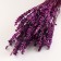 Set of dried flowers "lavender" banch length 30 (+/- 6 cm), lilac