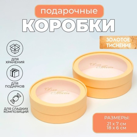 Box - tube 2 in 1, with a transparent lid "Beige", 21 x 7 - 18 x 6 cm