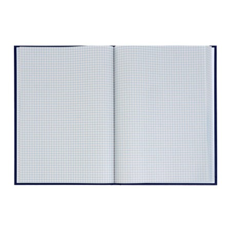 Book of accounting, 96 sheets, boumvinyl cover, newspaper block, cage, blue color-2