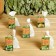 Set of Phytosbor # 1 in a box, 5 pcs of 30 grams