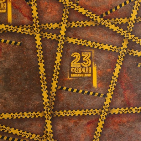 Glossy packaging paper "February 23", 70 x 100 cm-2